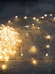 Plug In Led Fairy Lights On Copper Wire Gardeners Com Can You Turn The Light On In 2019 Led F Fairy Lights Bedroom Led Fairy Lights Fairy Lights Decor