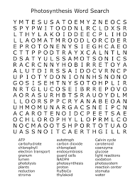 Pelajari Fotosintesis Syarat Dengan Fun Word Search Puzzle