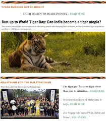 Thanks to its black stripes on orange fur, the malayan tiger is surprisingly adept at blending in with rainforest. Wildlife Warrior Lend A Hand