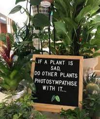 Check spelling or type a new query. How To Make Fried Marble Necklaces Garden Quotes Signs Plant Lover Quotes Gardening Quotes Funny