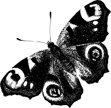 The png image provided by seekpng is high quality and free unlimited download. Svg Burung Merak Imej Ikon Svg Percuma Svg Silh
