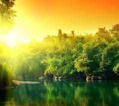 Get the best 4g volte feature phone in india. Wallpaper Hd Nature Download For Jio Phone Free Hd Wallpaper Nature For Android Phone 817970 Hd Wallpaper Backgrounds Download