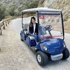 Hi my name is brian , and please allow me help you get around playa de coco /. Catalina Island Golf Cart 70 Photos 47 Reviews Golf Cart Rentals 625 Crescent Ave Avalon Ca Phone Number