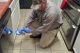 Say goodbye to bothersome pests in your home or workplace with our effective pest control services. Pest Control Scottsdale Anteater Exterminating Inc