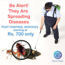 Our free service sends you the most quotes of any of our competitors. Where Can I Get Affordable Pest Control Service In Bangalore Quora