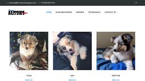 However, free aussie dogs and puppies are a rarity as rescues usually charge a small adoption fee to cover their expenses (usually less than $200). Puppy Scammer List Website Homeaussiespups Com Home Aussies Pups Home Of Aussies Puppies