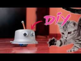 Diy Cat Toy How To Make A Cat Toy Youtube Could It Work With A Greek Yogurt Cup Cat Diy Diy Cat Toys Cat Toys