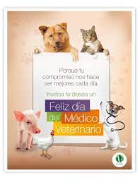 ¿cuándo es el día del veterinario? Imagenes Hermosas Con Bonitos Mensajes Para Festejar El Dia Del Veterinario Mejores Imagenes