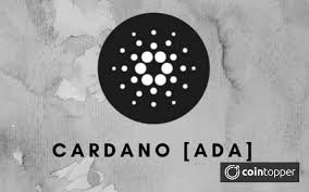 Grey, pineapple, logo, cardano, pineapple tart, sticker, computer software, alex grey, pineapple, logo, cardano png. What Is Cardano Ada Everything You Need To Know Cointopper