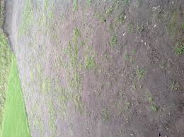 Image result for site:byggahus.se rullgräs