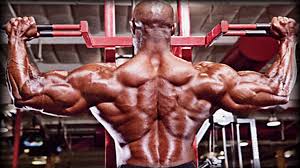 inside the muscles best back and biceps exercises t nation