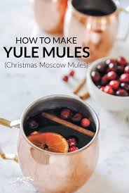 We did not find results for: Yule Mule Christmas Moscow Mule Cocktail Recipe Making Lemonade