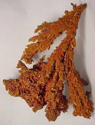 Copper is expected to trade at 4.45 usd/lb by the end of this quarter, according to trading economics global macro models and analysts expectations. Copper Color Wikipedia
