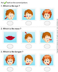 Let's know the names of our body parts. Parts Of Human Face Worksheet Turtle Diary
