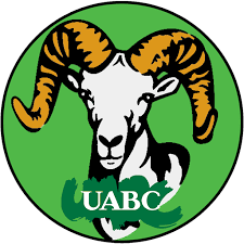 All without asking for permission or setting a link to the source. Alumnos Uabc Apps Bei Google Play