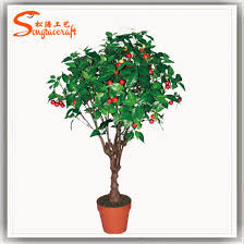 *** if you'd like to add a few fruit trees to your yard, give your friends at evergreen arborist consultants a call. China Indoor Artificial Evergreen Plastic Bonsai Plant Fruit Trees For Sale China Fake Plant And Life Size Artificial Trees Price
