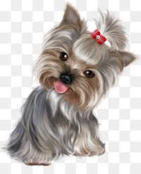 Free Download Yorkshire Terrier Miniature Schnauzer Puppy Purebred Dog Clip Art 3d Dog Png 600 708 An Cute Animal Drawings Yorkie Yorkshire Terrier Puppies