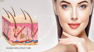 8 tiêu chuẩn vàng cho làn da khỏe đẹp từ thương hiệu dược mỹ phẩm Dr.Baumann