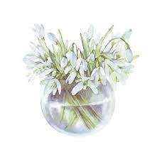 Cute Easter Flowers Spring Snowdrop Flowers Hand Drawn Watercolor Snowdrop Flower Bouquet In Glass Jar First Sp Easter Flowers Flower Images Flowers Bouquet