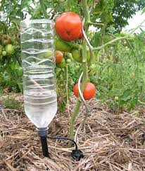 Check spelling or type a new query. Depart En Vacances Arroser Ses Plantes Avec Une Bouteille En Plastique