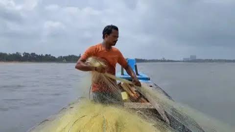Maharashtra: 'We spend hours at sea, but there's no fish'