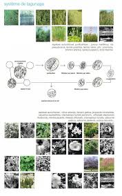 Image Result For Design Concept Rain Garden Board Landscape Architect Landscape Architecture Landscape Design Landscape Plans