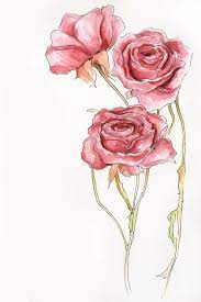 Visualizza altre idee su disegno fiori, fiori, fiori dipinti. Watercolor Rose Painting Tumblr Jatuh Cinta Wallpaper Ponsel Cinta