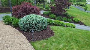 Maybe you would like to learn more about one of these? J J Landscaping Harrisonburg Virginia 22802 J J Landscaping