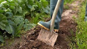 How to dig a garden bed. How To Start A Garden Bed 5 Ways To Break New Ground