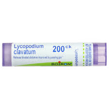 Image result for Lycopodium clavatum