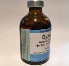 Why aren't there pills/injections of pure atp for energy, or as a food replacement? Dynacleine 50 Ml Horse Camel Camel Camel Supplies