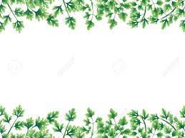 Print this digital border to make a fall invitation, card or flyer. Green Parsley Leaves At The Borders Of The Illustration On The Stock Photo Picture And Royalty Free Image Image 97952410