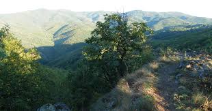 Egyszerre két helyszínen nem lehetek :( ön is hozzászólhat. Index Belfold Tonkreteheti E Egy Kisvasut A Borzsonyi Csarna Volgyet