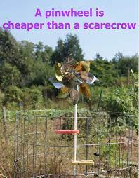 One of the main considerations when putting out your own nesting box is the height. How To Keep Birds Out Of Your Vegetable Garden Vegetable Garden Planner Organic Vegetable Garden Organic Gardening Tips