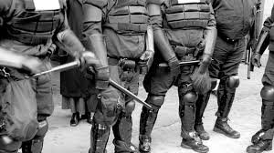 How Global Police Forces Handle International Crime - Global Police Forces:  Stories, Structure, and Traditions