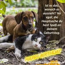 10 lustige tierbilder zum guten morgen; Https Www Xn Glckwnsche Sprche 32bdj De Geburtstagsbilder Html