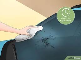 Road grime or tar are common occurrences for nicely asphalted roads, especially if you run at slightly higher speeds. 3 Ways To Remove Bugs Tar And Sap From Your Car Wikihow