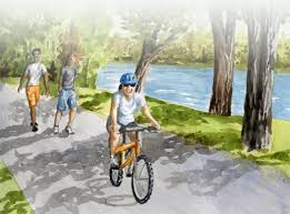 2012 Trail Half-Marathon Pictures