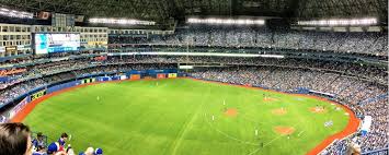 Blue Jays Survival Guide Part 2 Of 2 Tips For Travel