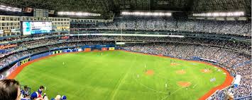 blue jays survival guide part 2 of 2 tips for travel