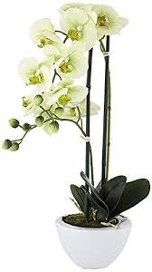 Light Green Phalaenopsis Faux Orchid In White Ceramic Pot See This Great Product Note Amazon Affiliate Link Decorlight Orchids Ceramic Pot White Ceramics