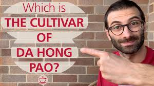 Which Cultivar Is Dahongpao Oolong Tea?