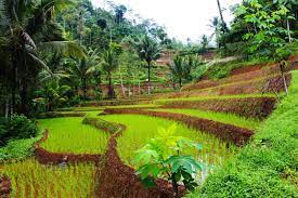 Wallpaper pemandangan jpg stok wallpaper 11 01 2021 45 gambar pemandangan alam indah keren lengkap temukan semua tentang gambar pemandangan alam sungai pelangi sawah gunung di artikel ini wallpaper pemandangan alam dan pedesaan download gambar sumber : Pemandangan Desa Yang Indah Tapete Pemandangan Alam Dan Pedesaan 1600x1066 Wallpapertip