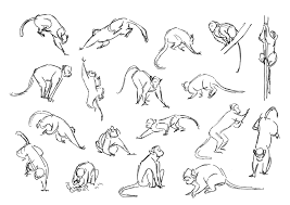 Freshly Scanned Zoo Sketches For A New Story Portfolio Which Will Be Done Soon Monkey Drawing Monkey Tattoos Monkey Illustration