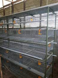 Jual kandang burung puyuh semarang. Jual Kandang Puyuh Galvanis Tools N Parts Kab Semarang Laswinarno Tokopedia