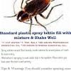 They they they they are unsightly to customers damage food & supplies can damage cockroaches you have roach infestation problem when… you see them in daylight there is a strong oily odor you discover droppings (like grains of. 1