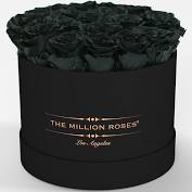 We did not find results for: 259 00