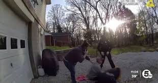 'I'm sure that nobody was directly trying to shoot me, but just be  responsible.'