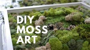 I love the look of moss and wood wall art, but it is so expensive! Diy Moss Art Done Simply Youtube