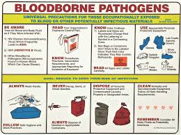 Image result for Bloodborne Pathogen Exposure